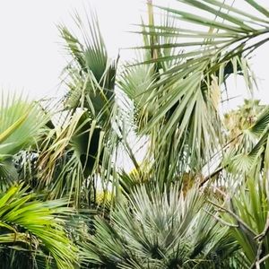 Meet your Posher, Sofia